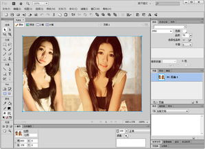 adobe fireworks cs6 漢化破解版